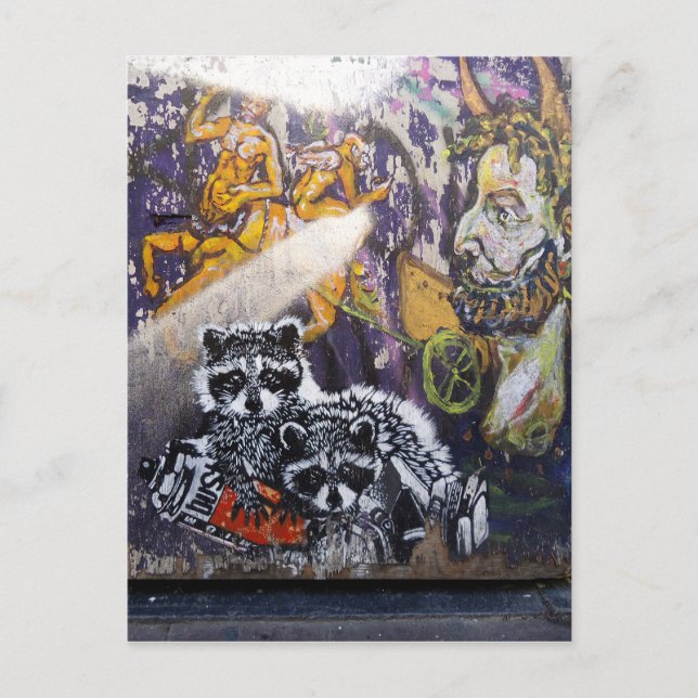 Amsterdam Graffiti Street Art Nr. 1 - Racoon Postcard (Front)