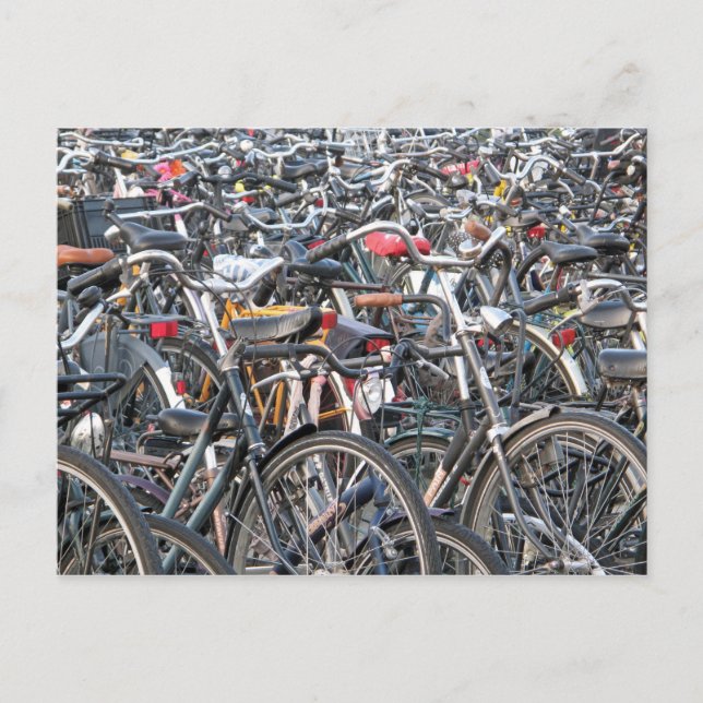 Amsterdam, Holland Postcard (Front)