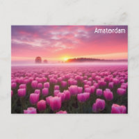 Amsterdam Netherlands Dutch Tulips Travel Photo