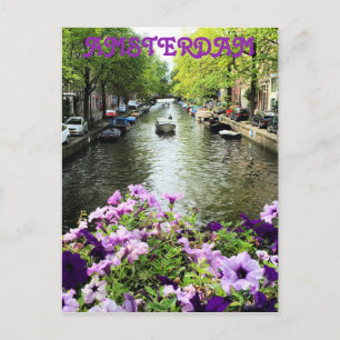 Amsterdam Summer Canal Postcard
