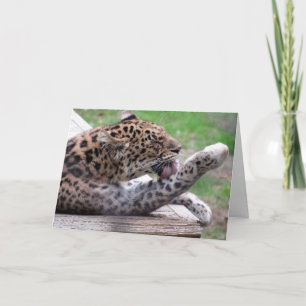 Amur Leopard Greeting Card