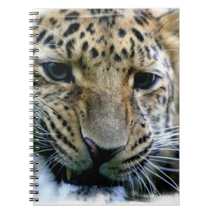 Amur Leopard Notebook