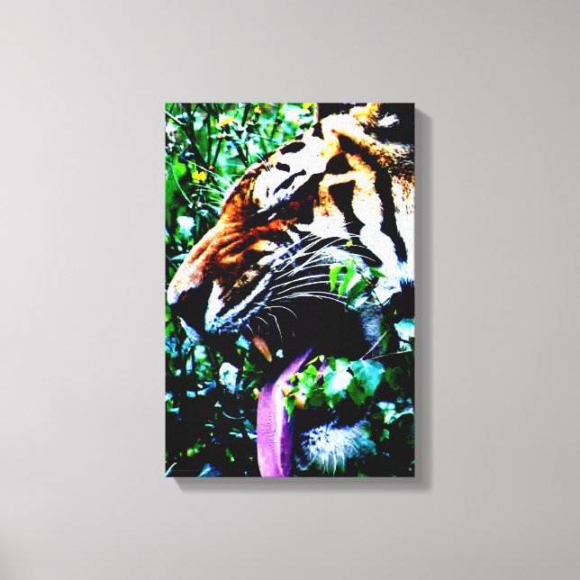 Amur Tiger 11x16.5 (27.5x41.25cm) waccna Canvas Print (Front)