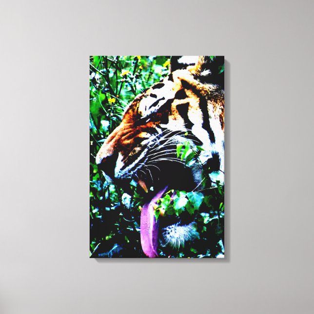 Amur Tiger 16x24 (40x60cm) waccnm Canvas Print (Front)