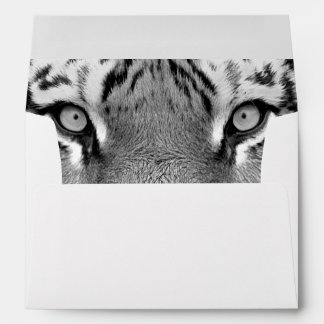 Amur Tiger #4 Envelopes