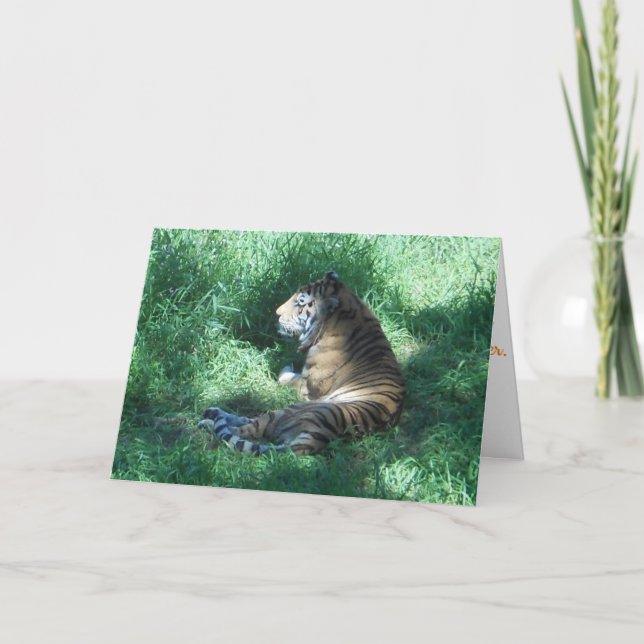 "Amur Tiger" Birthday Card (Front)
