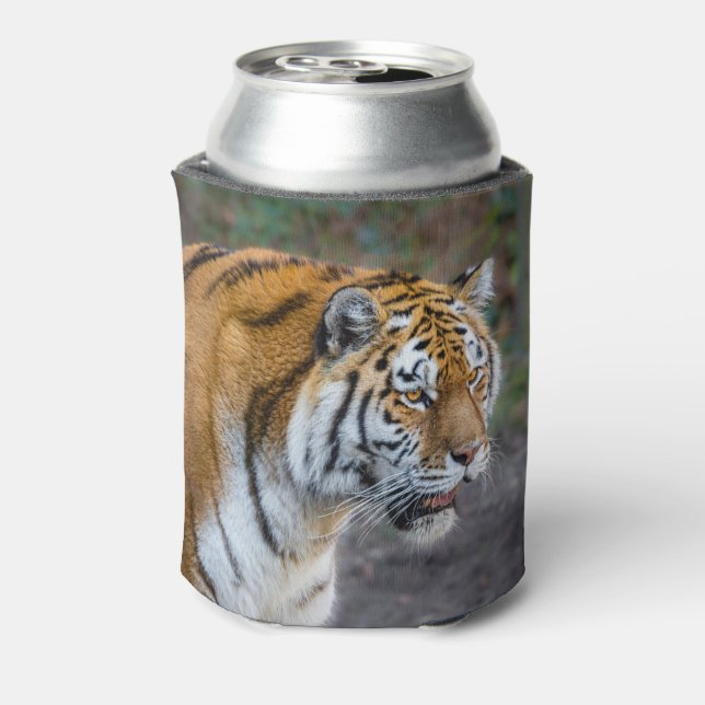 Amur tiger can cooler (Can Back)