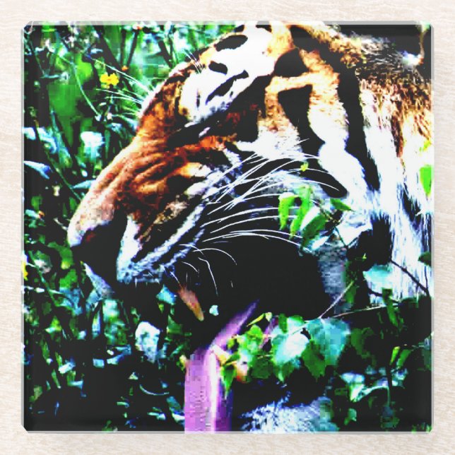 Amur Tiger coastercna Glass Coaster (Front)