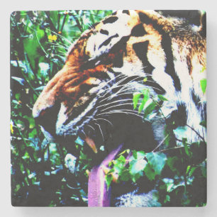 Amur Tiger coasterm Stone Coaster
