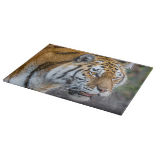 Amur tiger cutting board