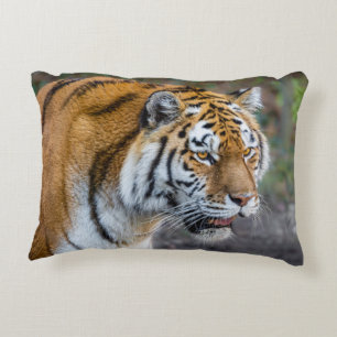Amur tiger decorative cushion