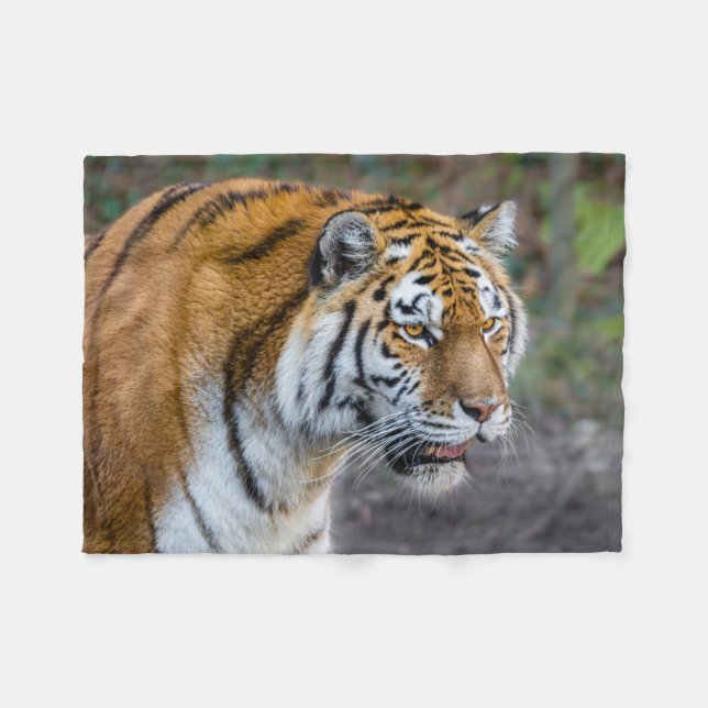 Amur tiger fleece blanket (Front (Horizontal))