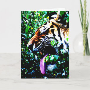 Amur Tiger gccna Card