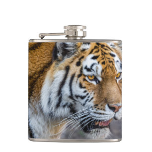 Amur tiger hip flask
