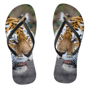 Amur tiger jandals