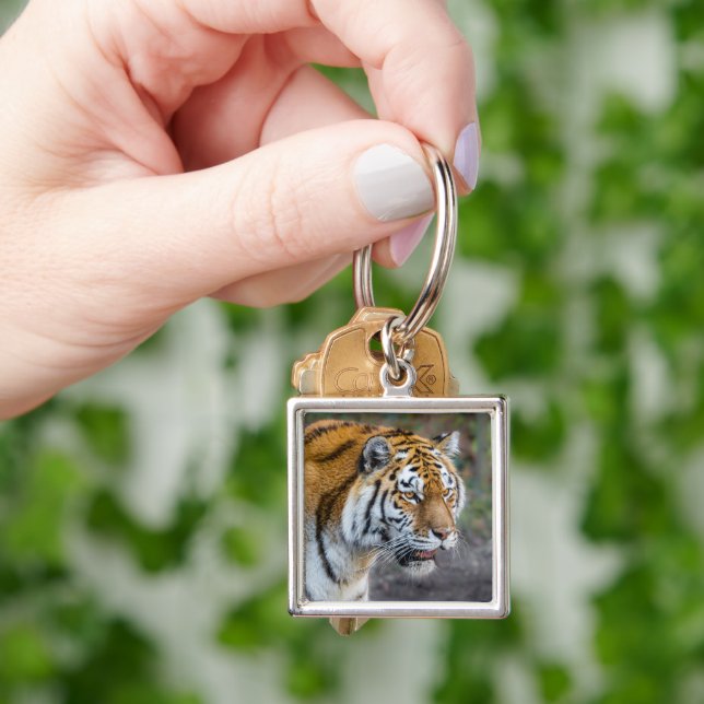 Amur tiger key ring (Hand)