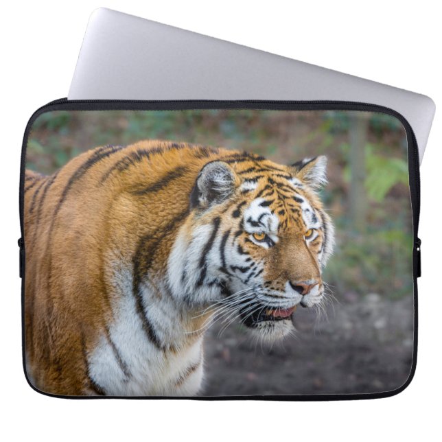 Amur tiger laptop sleeve (Front)