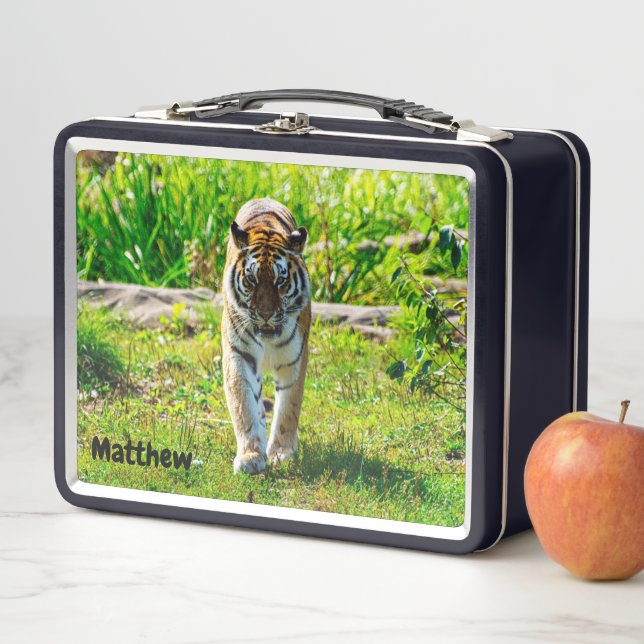 Amur Tiger Metal Lunchbox (In Situ)