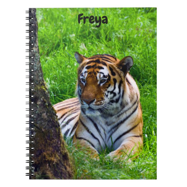 Amur Tiger Spiral Notebook (Front)