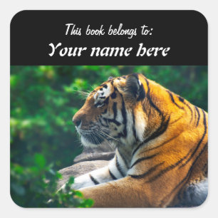 Amur Tiger Sticker