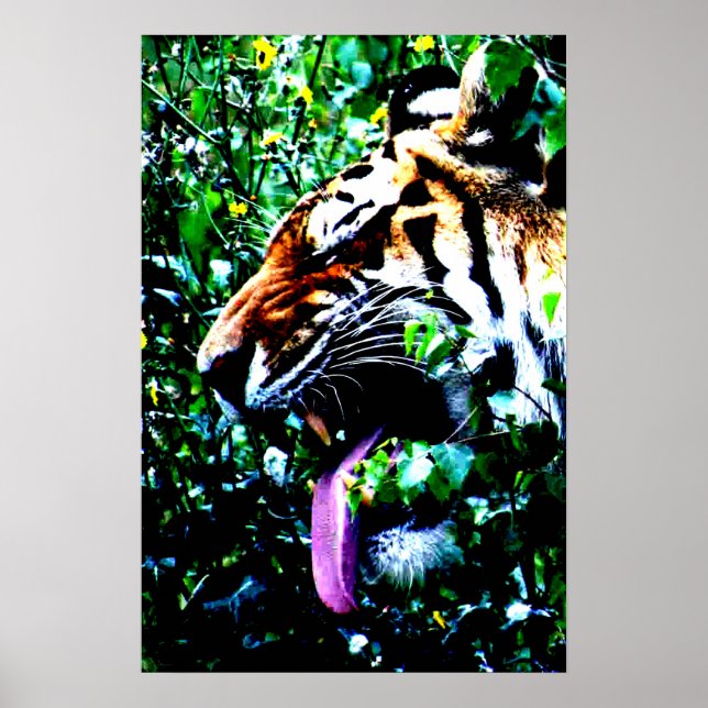 Amur Tiger wapa Poster (Front)