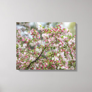 An Abundance Of Blossoms Canvas Print
