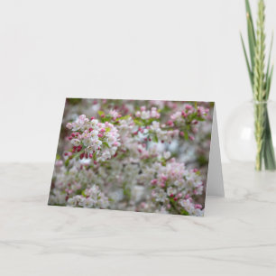 An Abundance Of Blossoms Card