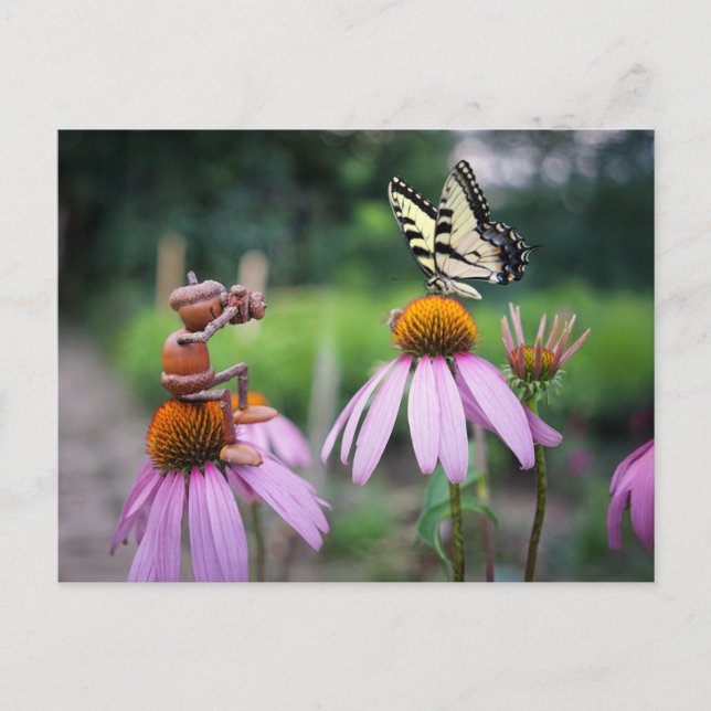 An acorn elf is taking a picture of a butterfly postcard (Front)