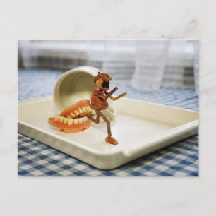 An acorn elf runs away from a set of false teeth postcard