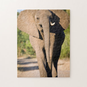 An African Elephant (Loxodonta Africana) Walks Jigsaw Puzzle