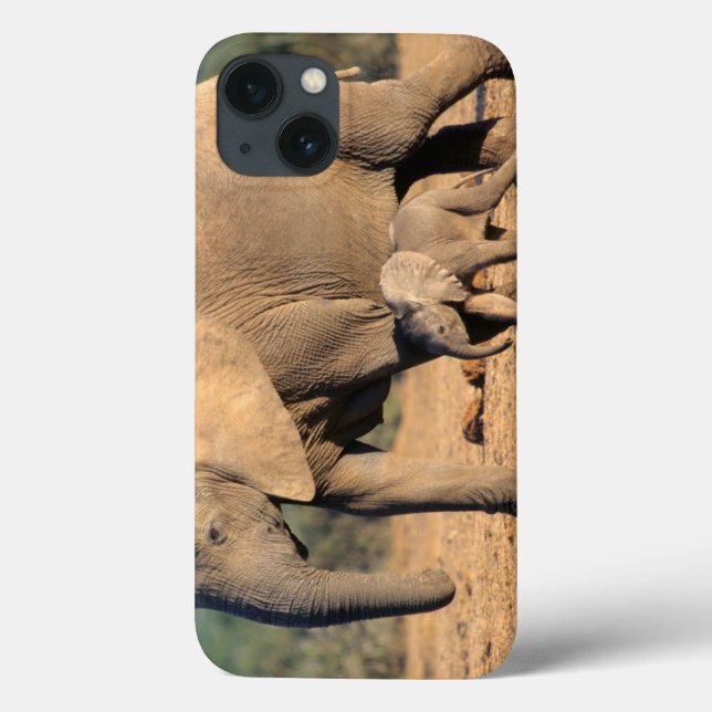 An African Elephant mother and calf on the move Case-Mate iPhone Case (Back)