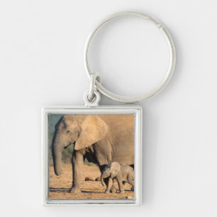 An African Elephant mother and calf on the move Key Ring