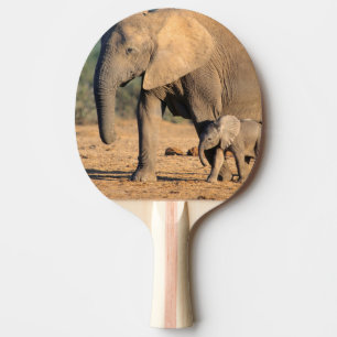 An African Elephant mother and calf on the move Ping Pong Paddle