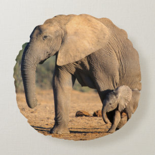 An African Elephant mother and calf on the move Round Cushion
