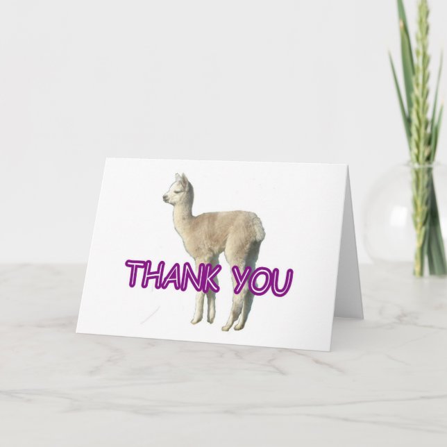 An alpaca "Thank You" card (Front)