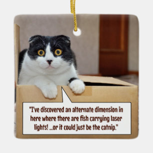 An alternate dimension ceramic ornament