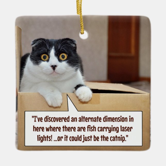 An alternate dimension ceramic ornament (Front)