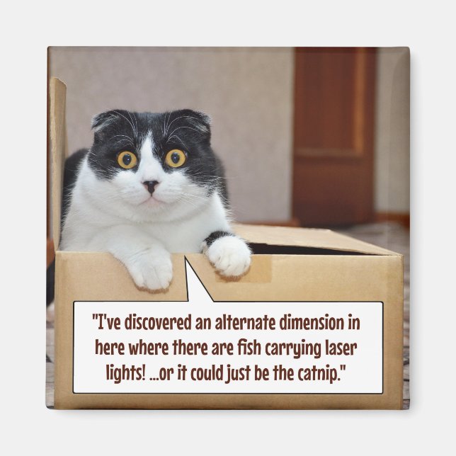 An alternate dimension magnet (Front)