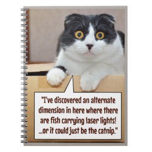 An alternate dimension notebook
