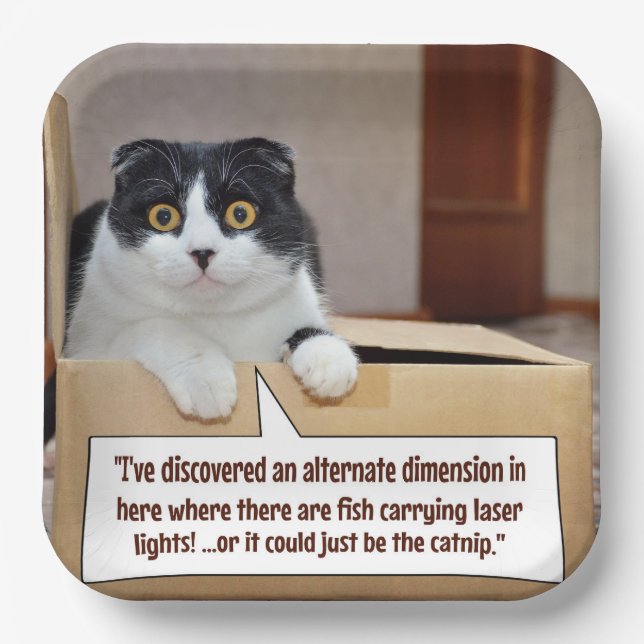 An alternate dimension paper plate (Front)