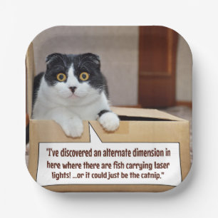 An alternate dimension paper plate