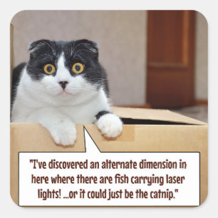 An alternate dimension square sticker