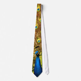 An Amazing Peacock Tie! Click on this one!! Tie