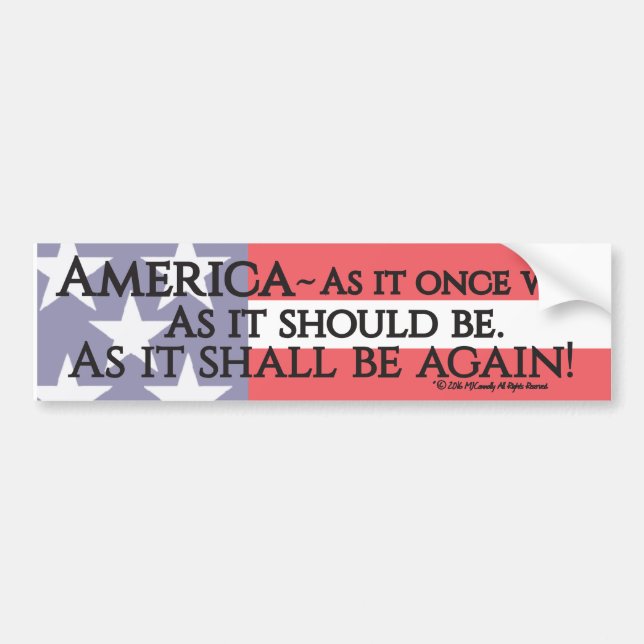 "An American Toast" bumper sticker. Bumper Sticker (Front)