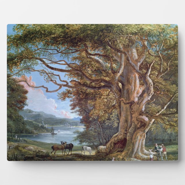 An Ancient Beech Tree, 1794 (oil on canvas) Plaque (Front)