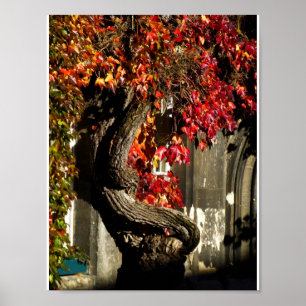 An Ancient Being Poster