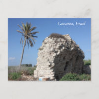 An ancient wall with a Palm tree, Caesarea, Israel