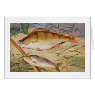 An Angler's Catch of Coarse Fish (oil on panel)