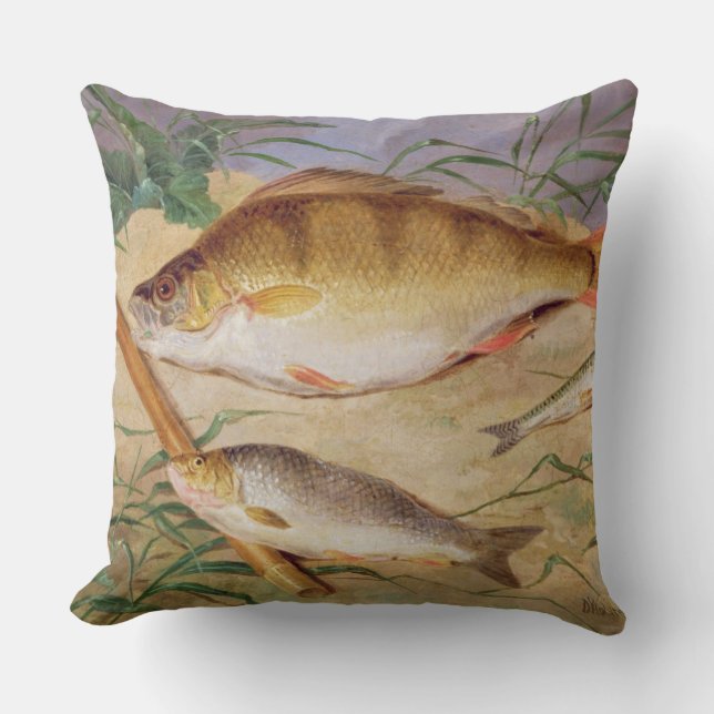 An Angler's Catch of Coarse Fish (oil on panel) Cushion (Front)