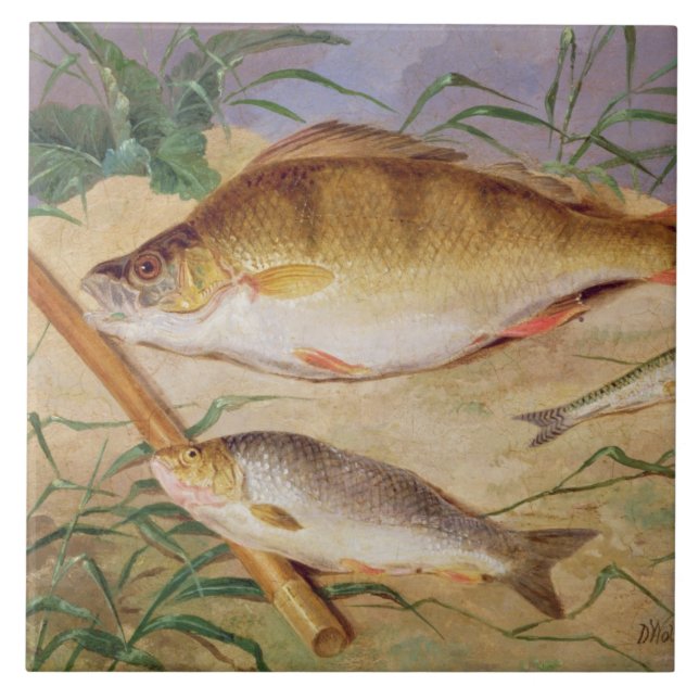 An Angler's Catch of Coarse Fish (oil on panel) Tile (Front)